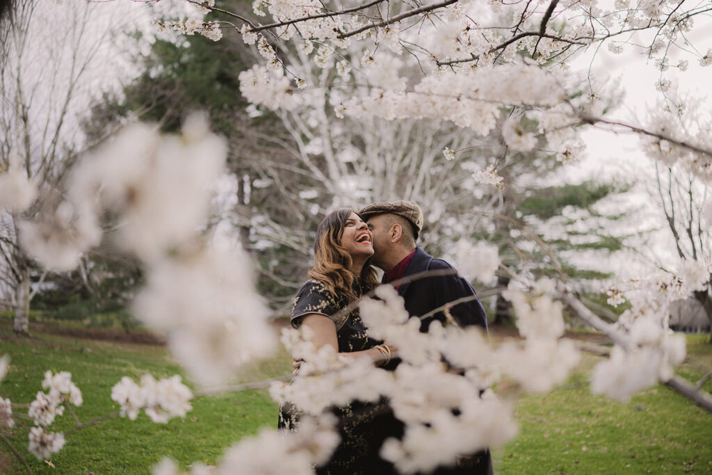 Couple portrait session beneath cherry blossoms at Japan House and Gardens in Champaign Illinois